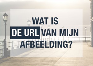 Wat is de url van mijn afbeelding?