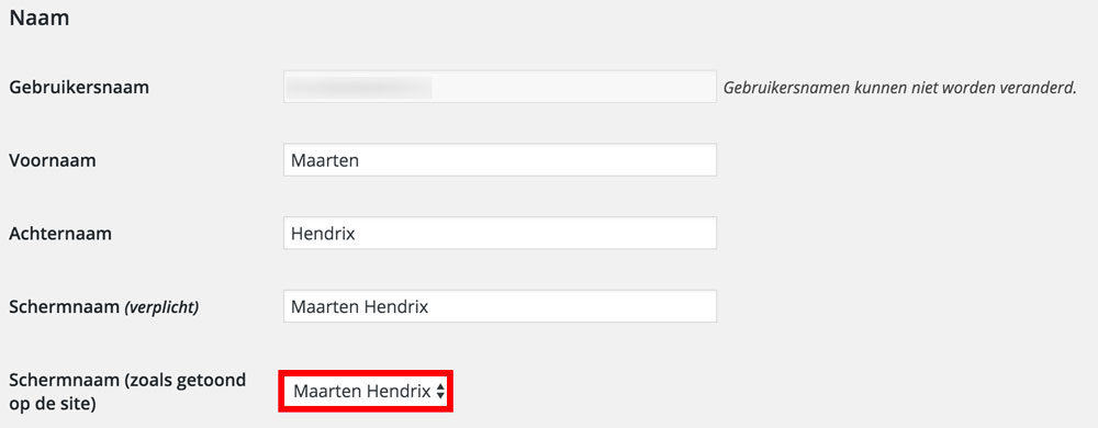 Schermnaam WordPress aanpassen
