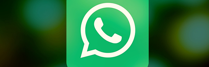 WhatsApp button